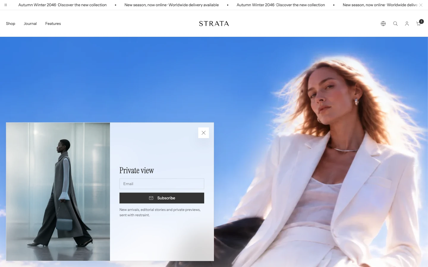 A newsletter popup in the lower-left corner with an image on the left and, on the right, the heading Private view, an email field, a Subscribe button, and a short note.